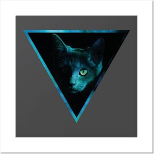 Cosmic Triangle Cat Posters and Art